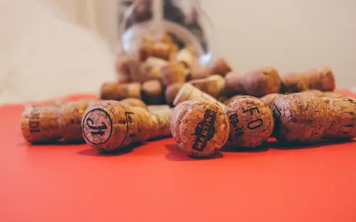 Emilia-Romagna, oltre 26 milioni per la filiera vitivinicola: al via la campagna 2026-2027