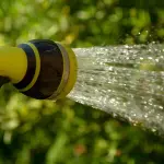 Quando irrigare il giardino per ridurre i consumi: orari e strategie efficaci