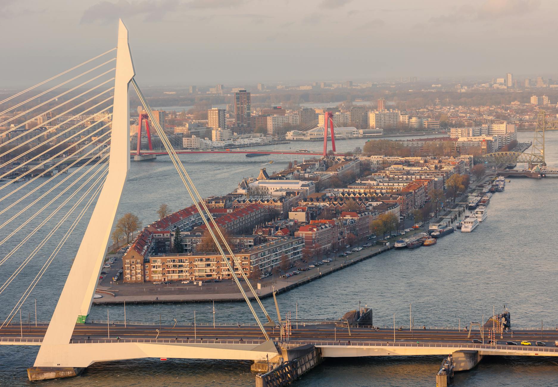 Rotterdam, workshop europeo SYNERGY su ricerca e innovazione