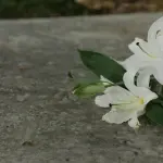 Primo Maggio a Reggio Emilia, concerto annullato