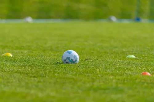 Reggio Emilia, 1.189 posti per campi estivi 0-6 anni