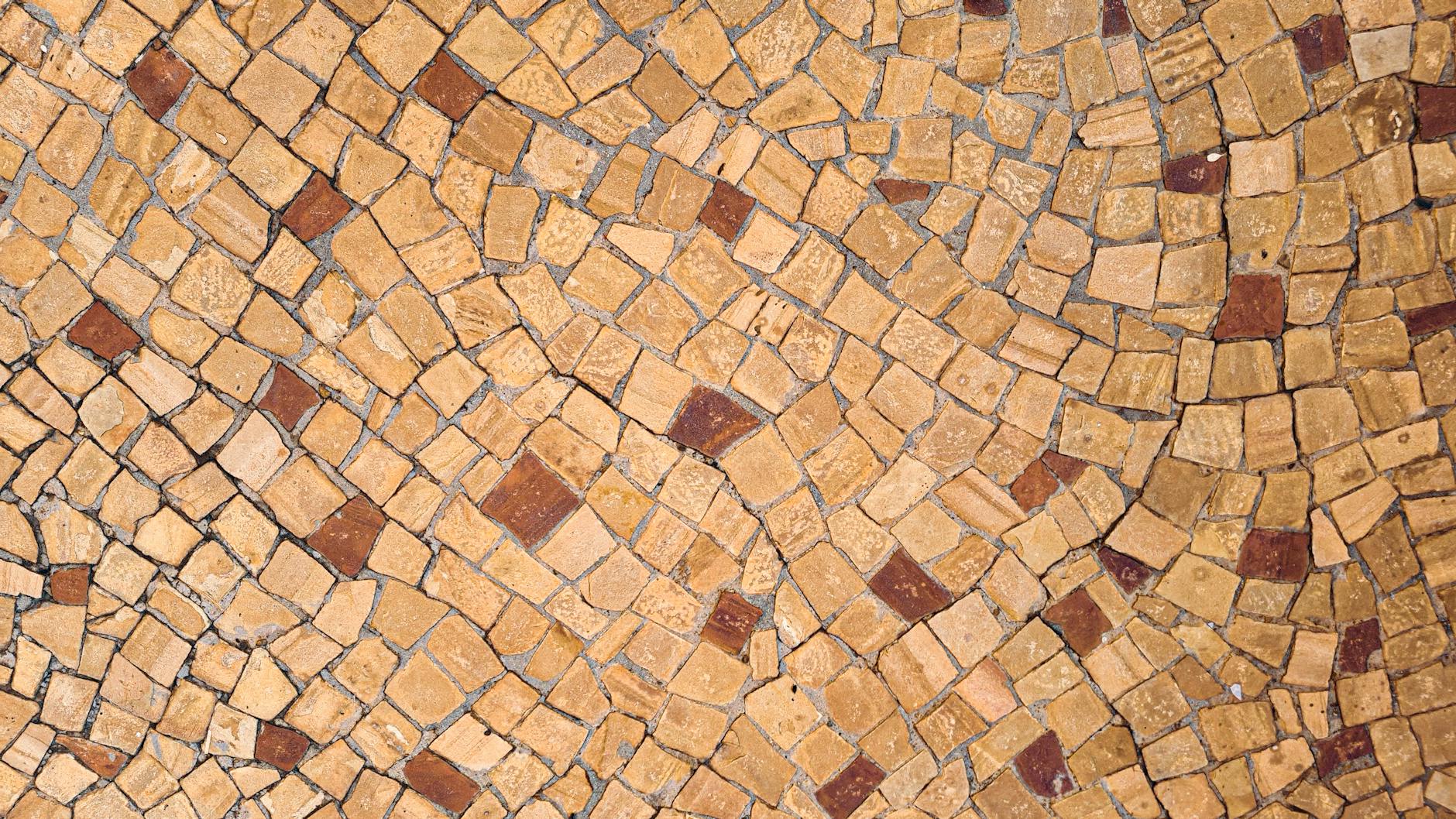 I Musei Civici di Reggio Emilia: guida alle collezioni
