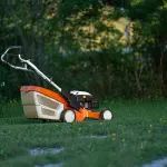 Emilia-Romagna, 170mila euro contro le piante invasive