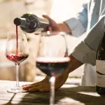 Emilia Wine, i giovani viticoltori chiedono un patto per il vino