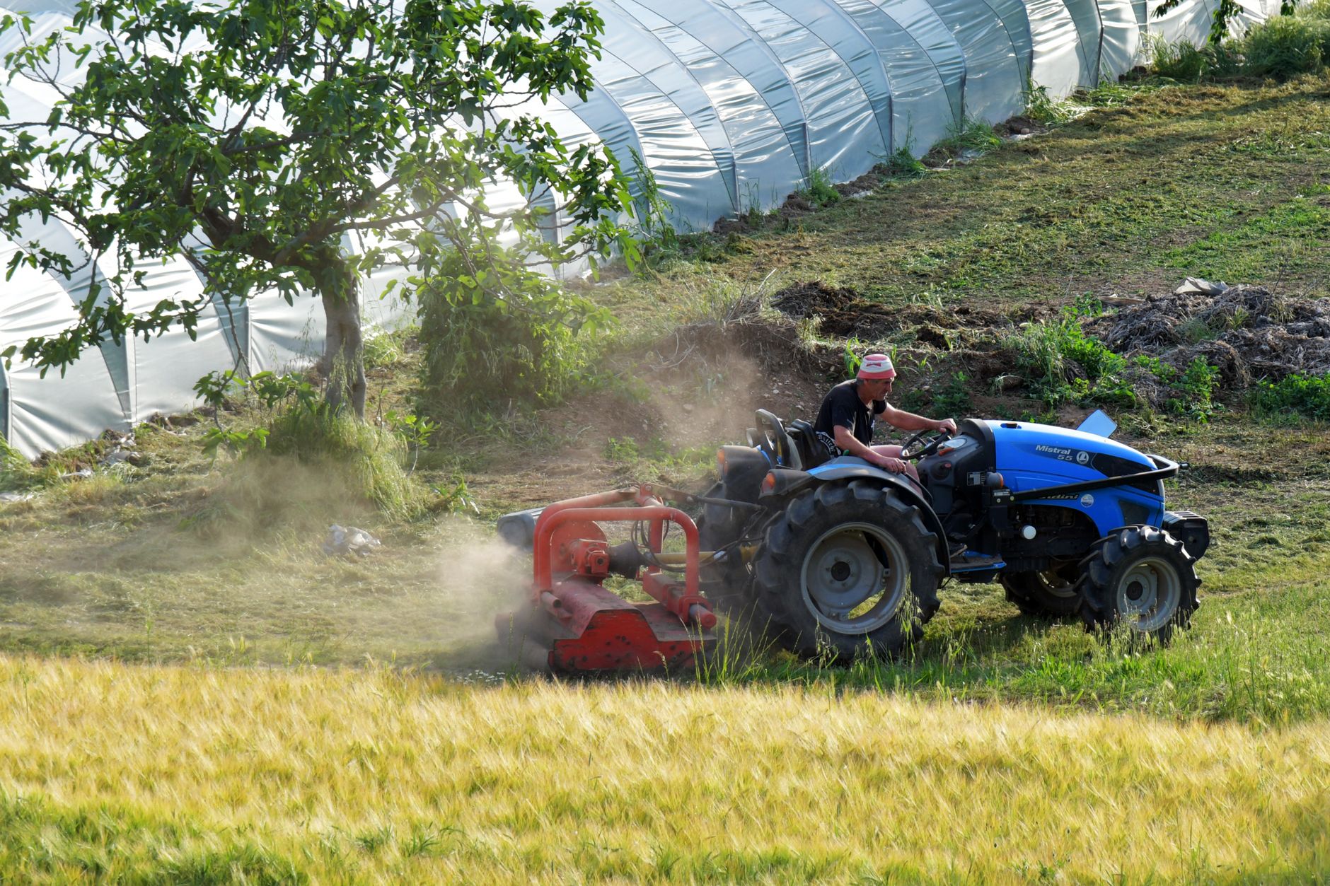Pac 2028-2034, ok UE agli emendamenti dell’Emilia-Romagna