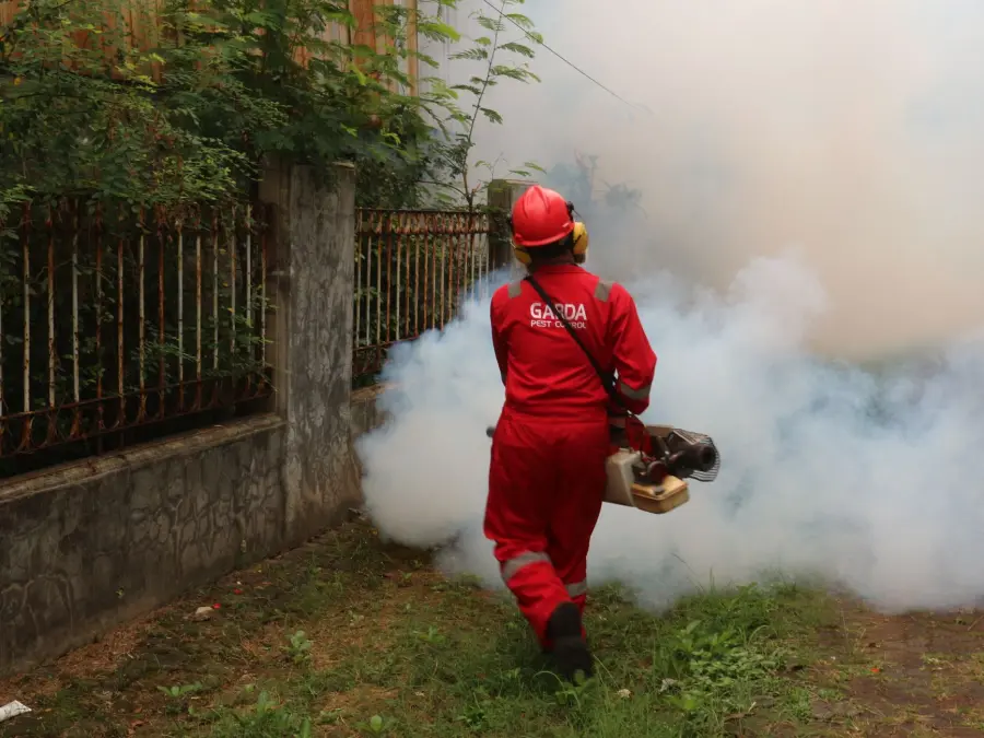 Dengue a Reggio Emilia, disinfestazione in tre vie