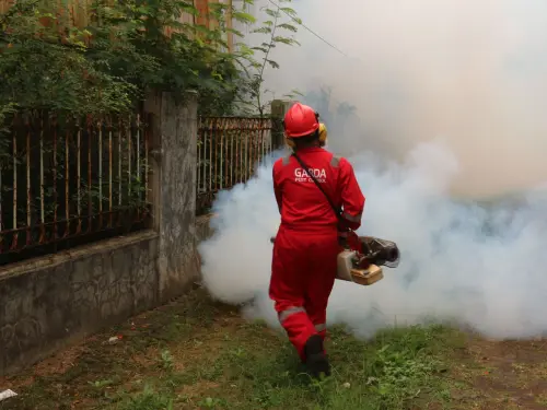 Dengue a Reggio Emilia, disinfestazione in tre vie