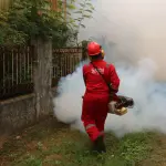 Dengue a Reggio Emilia, disinfestazione in tre vie