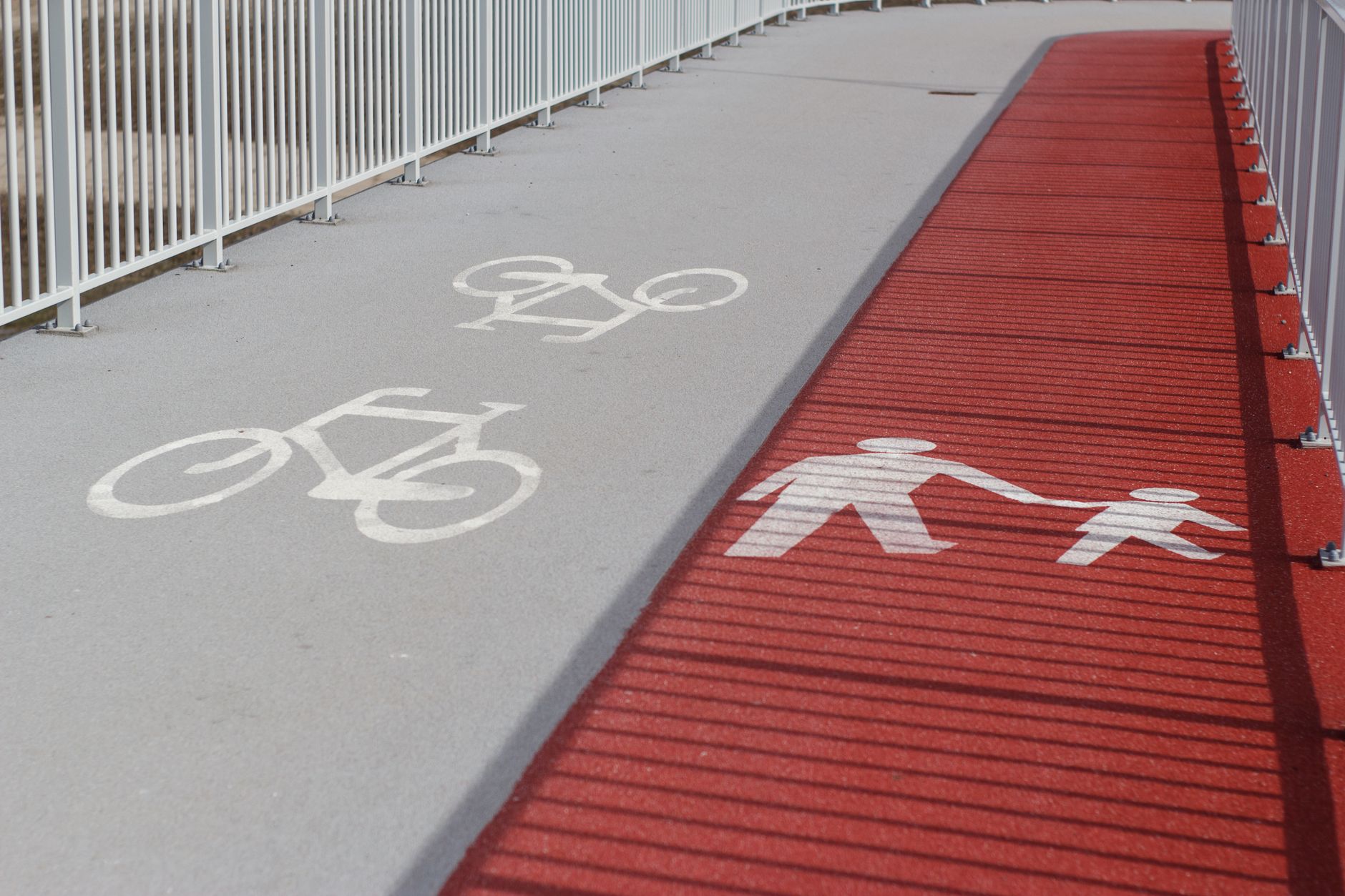 Reggio Emilia, bilancio ambientale: 244 km di piste ciclabili