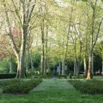 Spazi verdi e blu nelle città, Arpae analizza salute e clima