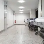 Reggio Emilia, caso di dengue: disinfestazione vicino all’ospedale