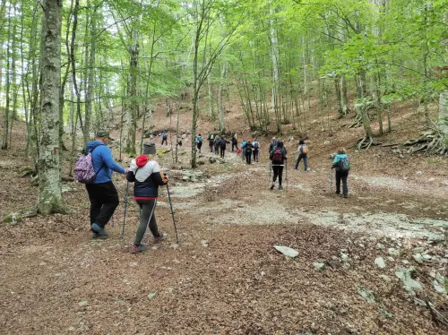 Emilia-Romagna, otto eventi nelle grotte Unesco dell’Appennino