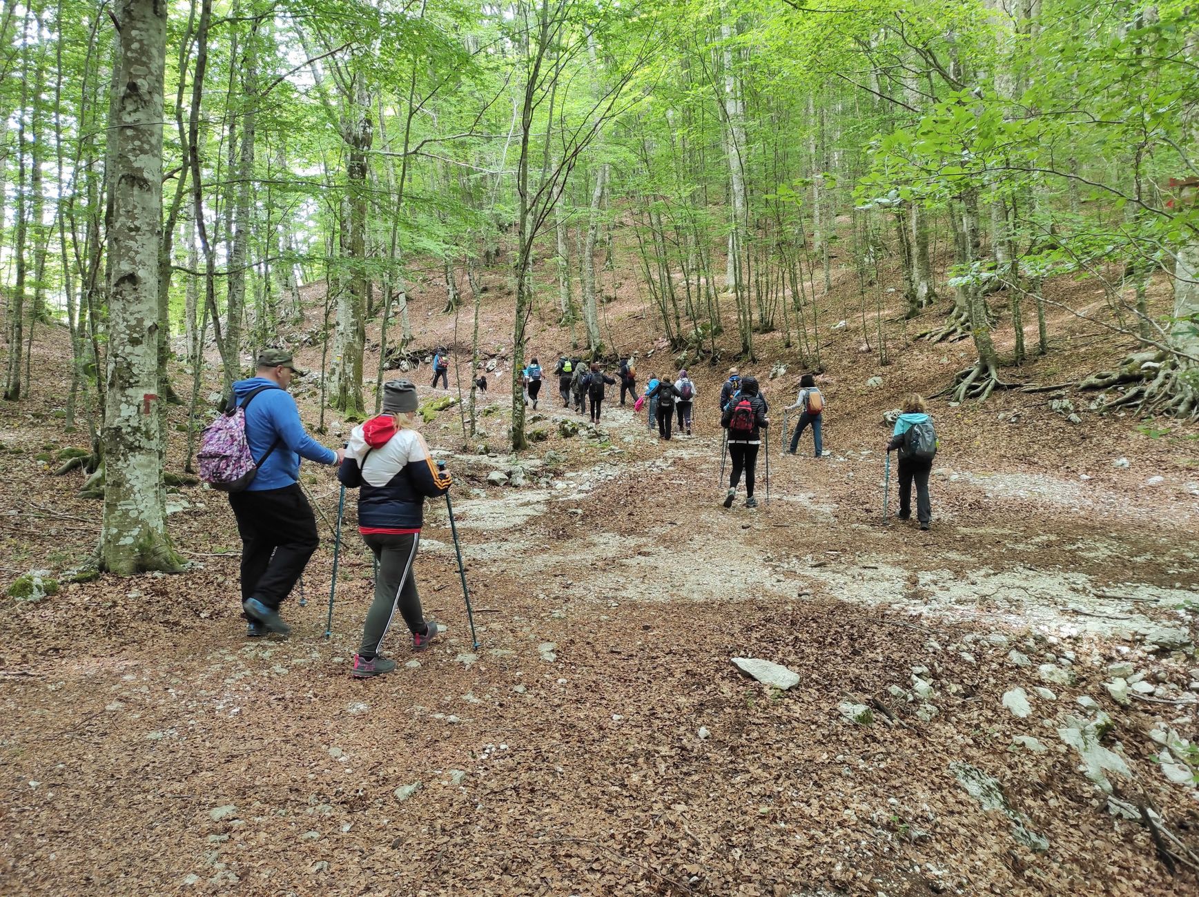 Emilia-Romagna, otto eventi nelle grotte Unesco dell’Appennino