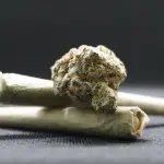 Reggio Emilia, operazione STURL ONE: nove arresti per narcotraffico