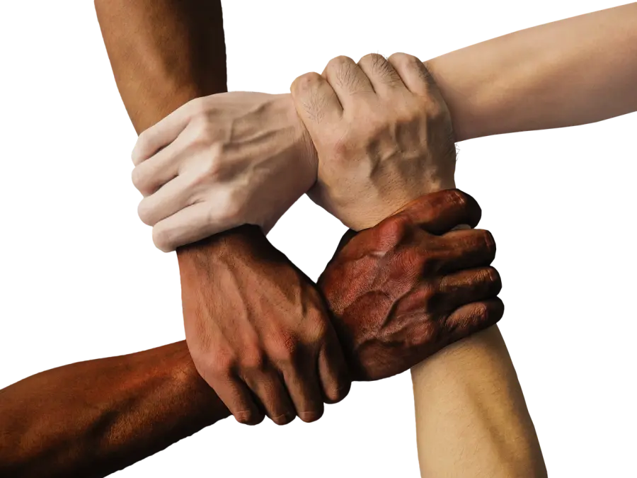 L.I.N.K., formazione e competenze per politiche di inclusione più efficaci