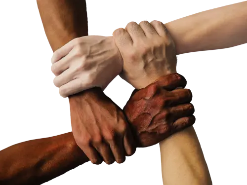 L.I.N.K., formazione e competenze per politiche di inclusione più efficaci