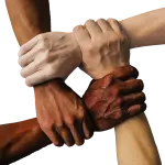 L.I.N.K., formazione e competenze per politiche di inclusione più efficaci