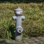 Demanio idrico, adeguamento Istat 2026: rivalutazione canoni e interessi legali